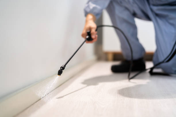 Licensed Termite Control service in Norwood, NJ - Nex Pest Control