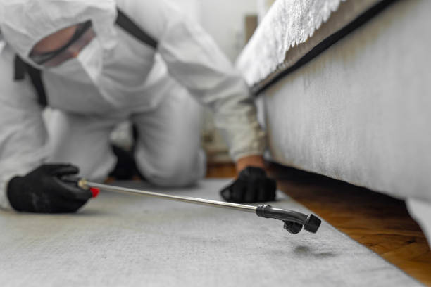 Professional Termite Control technician working in Norwood, NJ