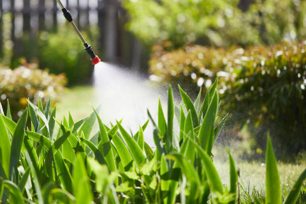 24/7 Emergency Termite Control experts in Norwood, NJ