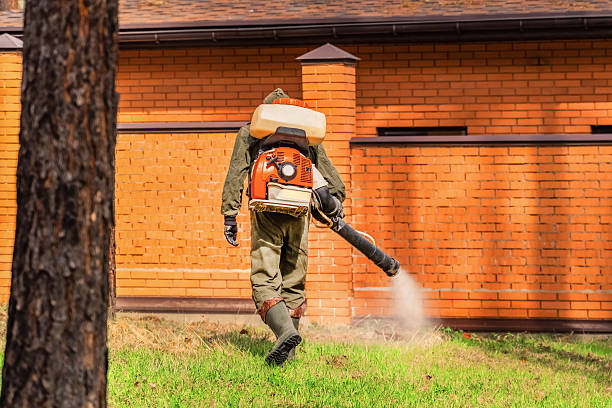 Trusted Termite Control service in Norwood, NJ - Nex Pest Control